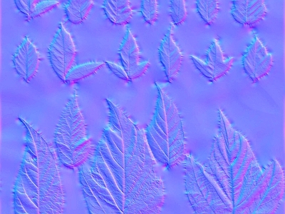 其他法线
