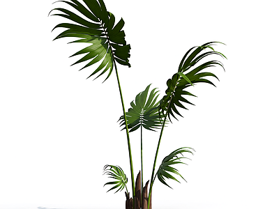 带盆绿植模型