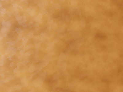 粗纹皮革