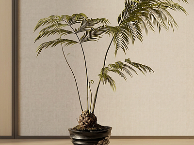 小型风格化绿植盆栽