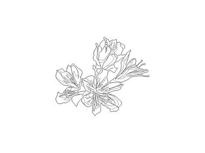 花 常用植物素材图块