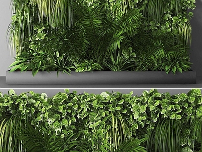 现代绿植墙