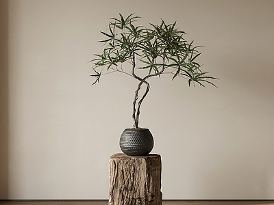 造型绿植盆栽