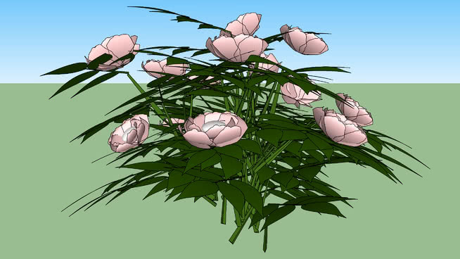 牡丹 画 苍蝇 饰品 洋蓟