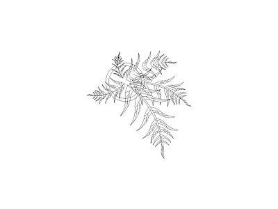 种绿植盆栽图块 植物