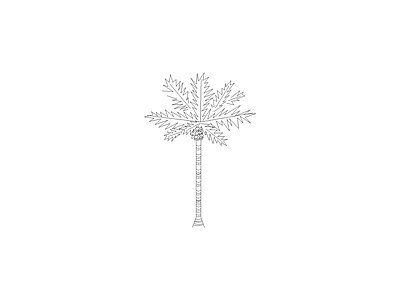 组团植物平立面图 银海枣立