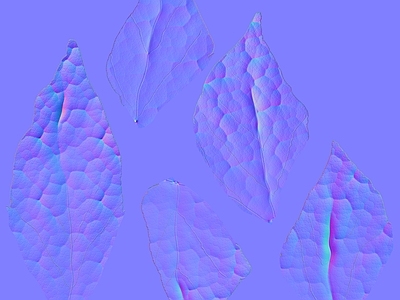 其他法线