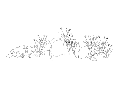 灌木种植 植物图块