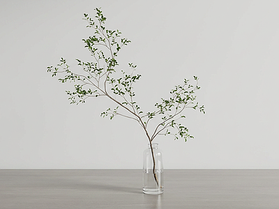 装饰绿植灌木