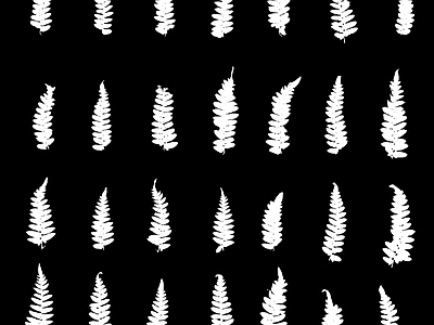 其他黑白凹凸
