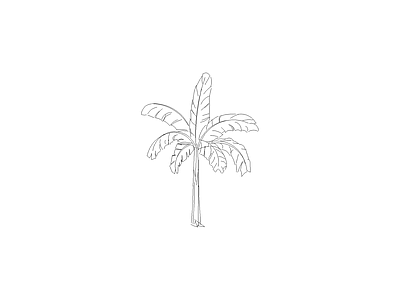 乔木种植 备用植物图例