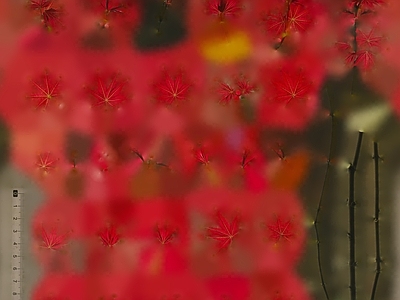 绿植墙