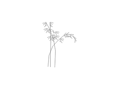 绿植 常用植物图例