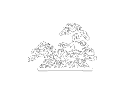 乔木种植 植物立面
