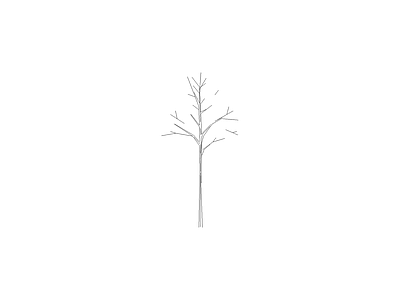 乔木种植 常用植物图例