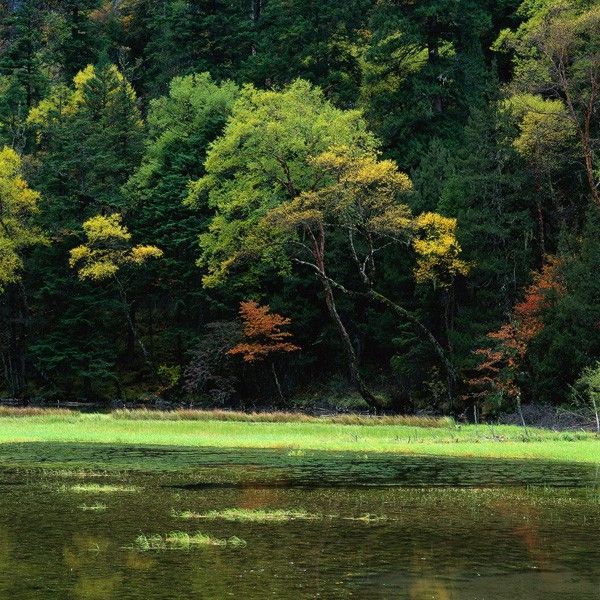 外景-外景  (8)