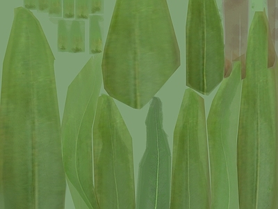 绿植墙