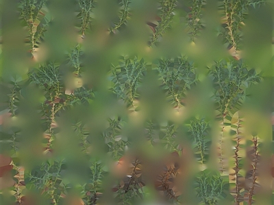 绿植墙