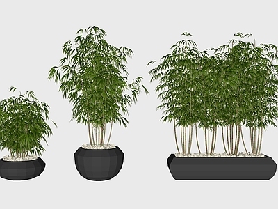 现代富贵竹子假山植物盆栽小品组合