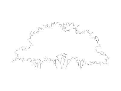 灌木种植 植物图块