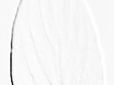 壁炉/火焰