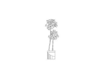 绿植 植物立面