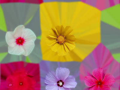 花朵纹理