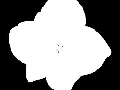 花朵纹理
