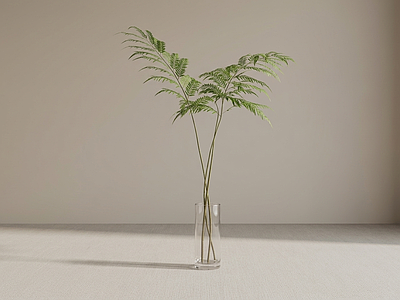 艺术绿植草本植物