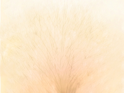 裂纹漆