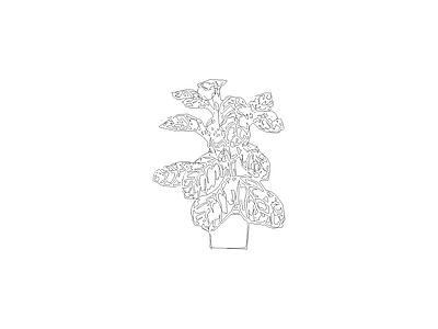 绿植 备用植物图例