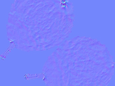 其他法线