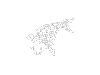动物 水族箱