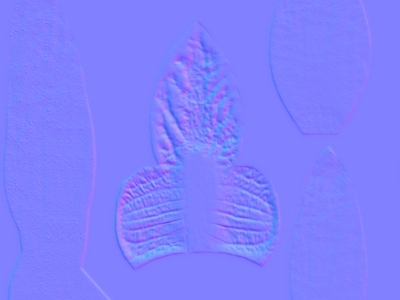 皮革法线