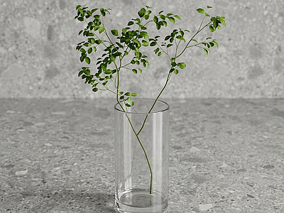 玻璃花瓶绿植草本植物