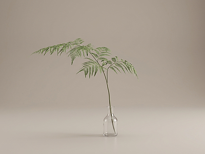 艺术绿植草本植物