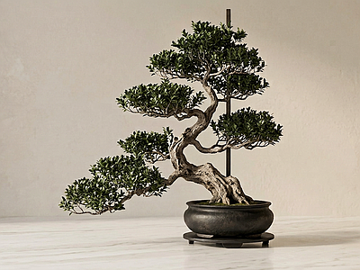 造型绿植盆栽