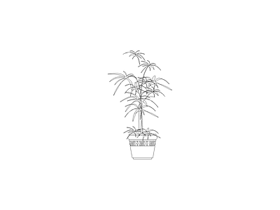 种绿植盆栽图块 植物