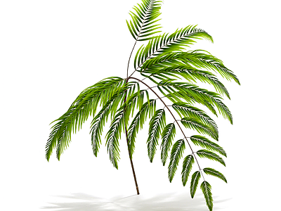 绿色枝叶植物模型