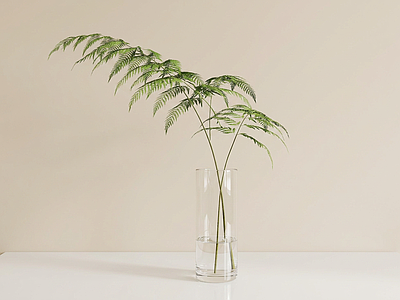 装饰绿植草本植物