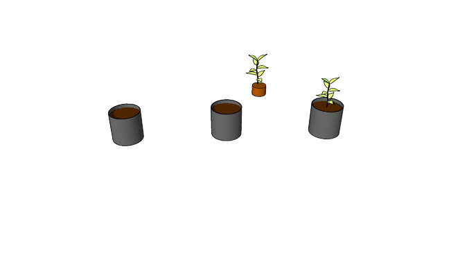植物在塑料袋中 其他 饰品