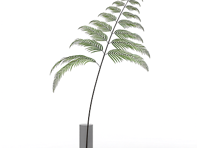 带盆绿植模型