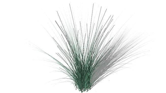 芒草晨光 草地 其他 家居物品 饰品
