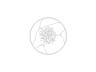 花 常用平面立面图块
