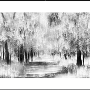 黑白装饰画97