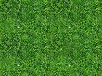 草坪草皮高清贴图 草皮