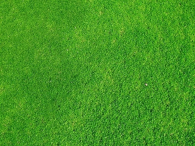 草地草坪贴图 草皮