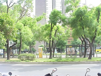 小区外街道外景