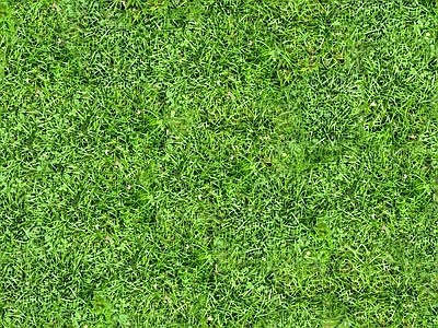 真实草皮 高清无缝 草皮