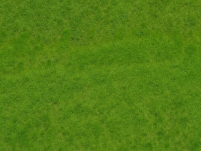 植物类 草地草皮 高清材质贴图 草皮